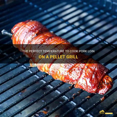 The Perfect Temperature To Cook Pork Loin On A Pellet Grill ShunGrill