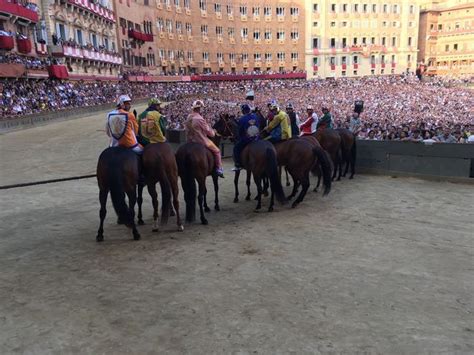 Siena Palio Alla Giraffa La Prova Generale Domani La Carriera Della