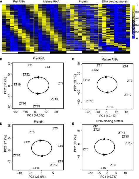 Figure 2 From In Silico Integrative Analysis Of Multi Omics Reveals