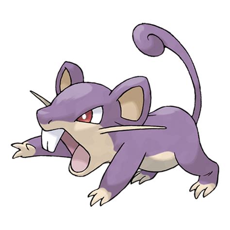 Rattata