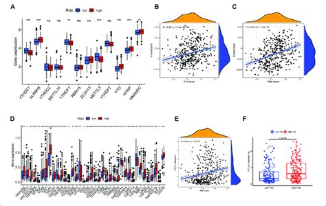 M A Correlation Analysis And Immune Checkpoint Correlation Analysis