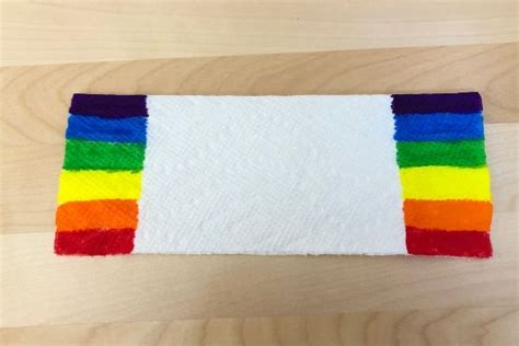 Easy Grow A Rainbow On Paper Towel Experiment Mombrite