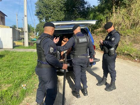 Guarda Municipal De Maric Prende Homem Acusado De Violentar