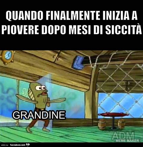 Buongiorno Popolo Accaldato Vaccata Pubblicata Da Giampieretto