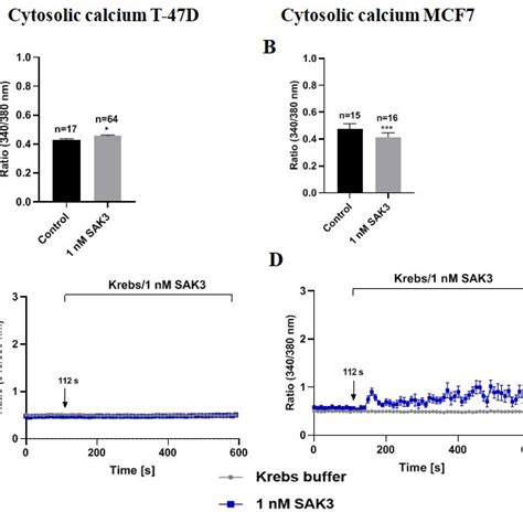 Effect Of SAK3 On The Cytosolic Calcium Levels In T 47D And MCF7 Cells