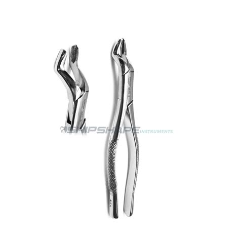 Extraction Forceps 53l 1st And 2nd Upper Molar Shipshape Enterprises