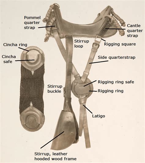 McClellan Saddle Identification – The McClellan Saddle