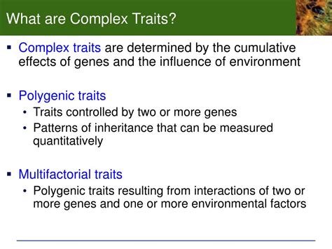 Ppt The Inheritance Of Complex Traits Powerpoint Presentation Free