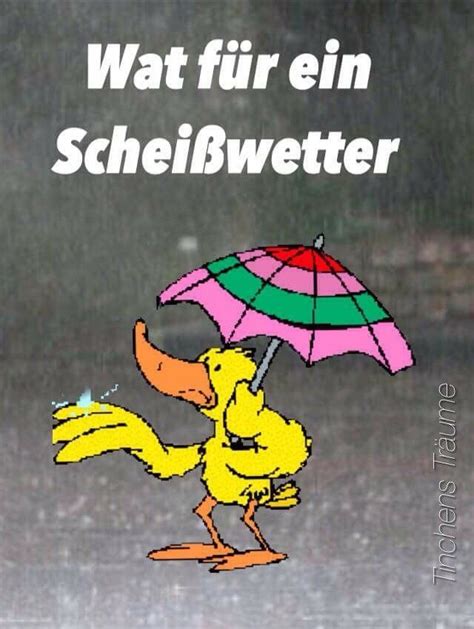 Pin Von P R Auf Its Raining Regenwetter Lustig Wetter Bilder