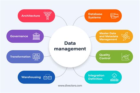 Data Management Issues