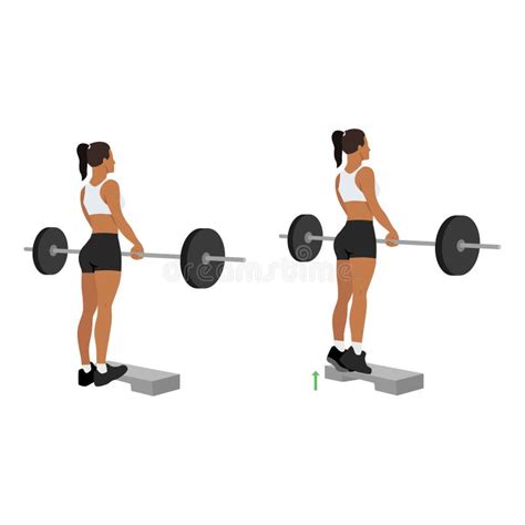 Calf Raises Stock Illustrations Calf Raises Stock Illustrations