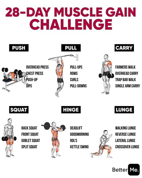 28 Day Muscle Gain Challenge Weight Gain Workout Full Body Workout Workout Program Gym