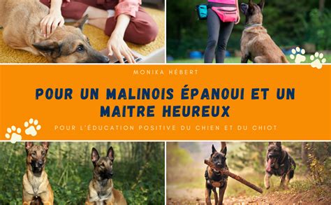 Amazon fr Le livre de léducation positive du Berger Belge Malinois