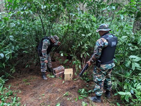 Misiones Prefectura Secuestr M S De Kilos De Marihuana Argentina