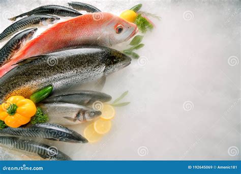 Peixe Fresco E Marisco Imagem De Stock Imagem De Mediterr Neo