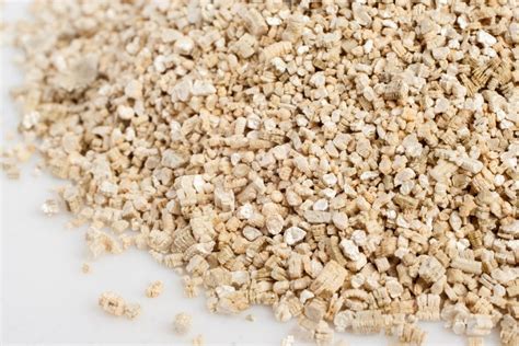 Why Vermiculite Is Still An Excellent Alternative For Gardening