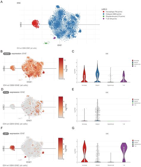 The Expression Of HSPB1 LSP1 And PTX3 In Different Type Of Cells By