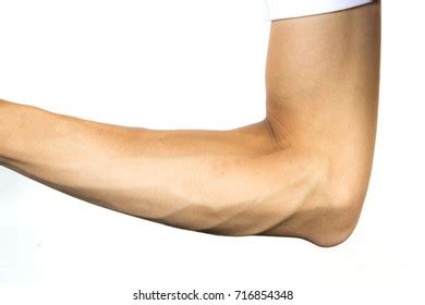 Elbow Arm Isolated On White Background Stock Photo Shutterstock