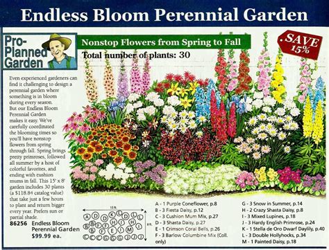 Colorado Perennial Garden Layout Perennial Garden Layout Planner Best ...
