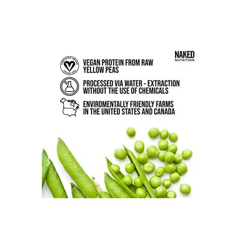 Naked Vegan Sample Pack Pea Chocolate Pea And Vanilla Pea Insect