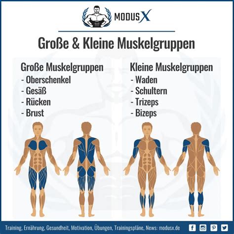 Reihenfolge der Muskelgruppen Fitness Übungen beim Training