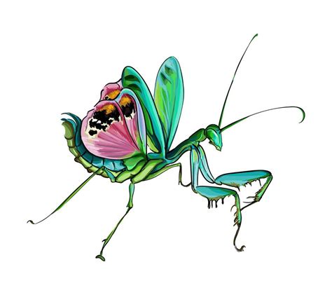 Mantis in a defensive position from multicolored paints. Splash of ...