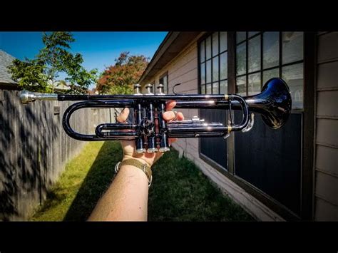 Black Trumpet Instrument