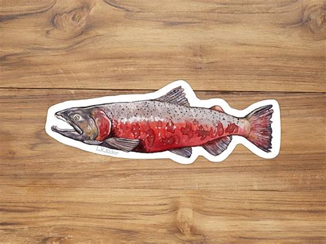 Chinook Salmon Sticker King Salmon Sticker Oregon Sticker Alaska