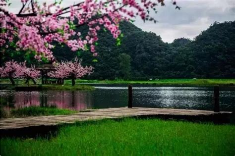 《三生三世十里桃花》的外景拍摄地！风景中国古风图片大全古风家