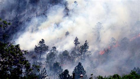 Honduras Ha Perdido 90 Mil 206 Hectáreas De Bosque En Unos 816