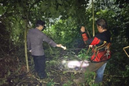 Geger Mayat Perempuan Tanpa Busana Ditemukan Membusuk Di Hutan