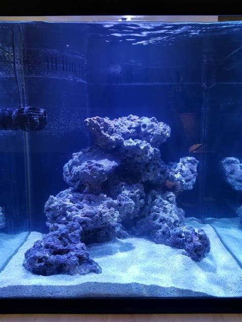 Cube Build Show Off Those Great CUBE TANK AQUASCAPES Page 14