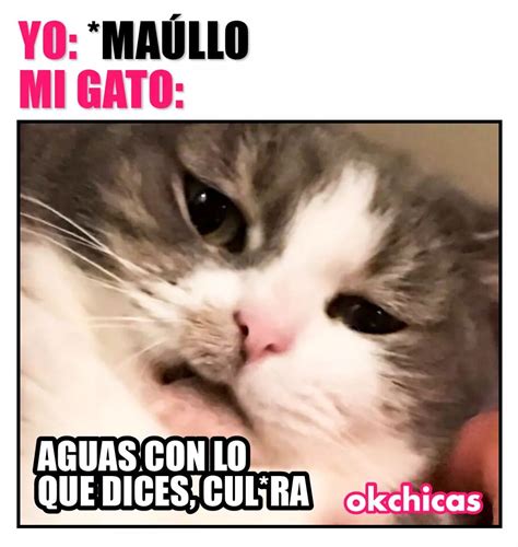 Yo Ma Llo Mi Gato Aguas Con Lo Que Dices Cul Ra Memes