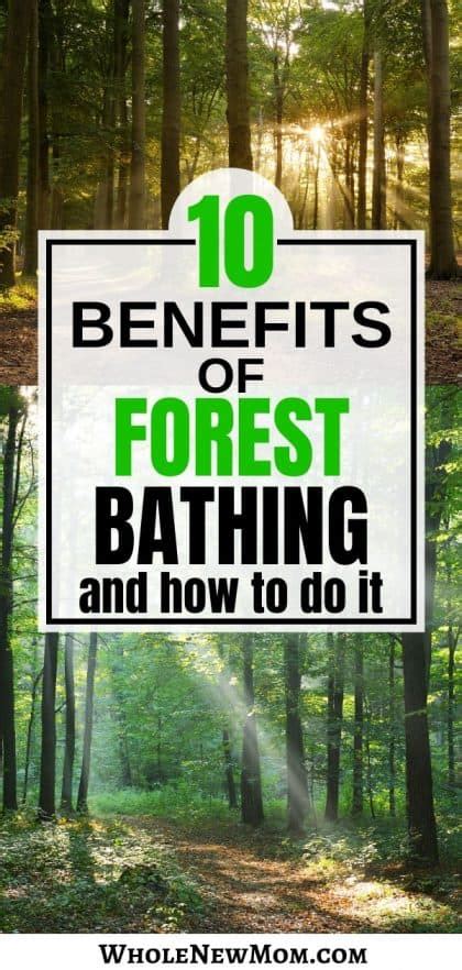 10 Proven Forest Bathing Benefits And How To Do It Whole New Mom