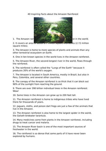 Amazon Rainforest Facts | Teaching Resources