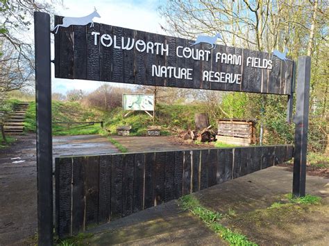 Kingston Council Gets Half A Million To Rewild Tolworth Kingston Courier