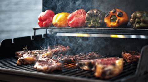 Best Grill Brands In 2020 Weber Traeger Nexgrill And More