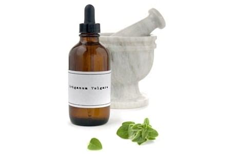 The Health Benefits of Oil of Oregano - alive magazine