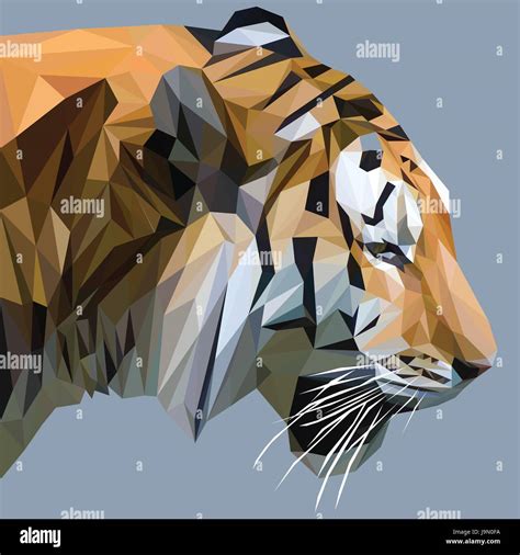 Tiger Low Poly Design Triangle Vector Illustration Stock Vector Image