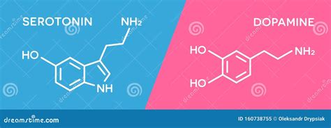 Serotonin And Dopamine Hormone Symbols Human Body Hormones Molecular