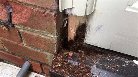 Rotten Wood Door Frame Repair YouTube