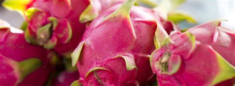 Composici N Nutricional De La Pitahaya O Fruta Del Drag N Canalsalud