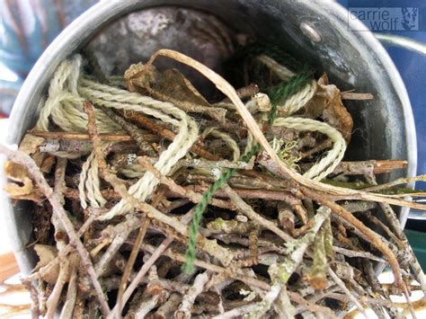 Bewicks Wren Nest Stitched