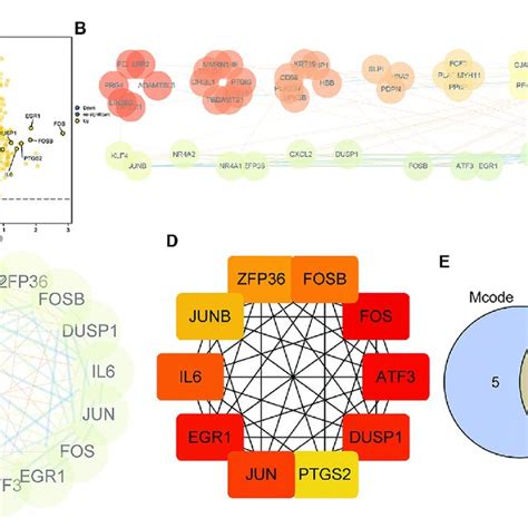 Protein Protein Interaction Ppi Network Construction And Hub Gene