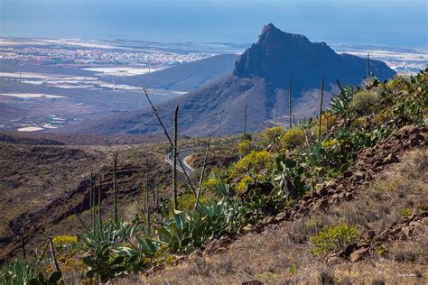 Ruta Fotogr Fica Altos De Temisas Ag Imes Primavera Gran Canaria