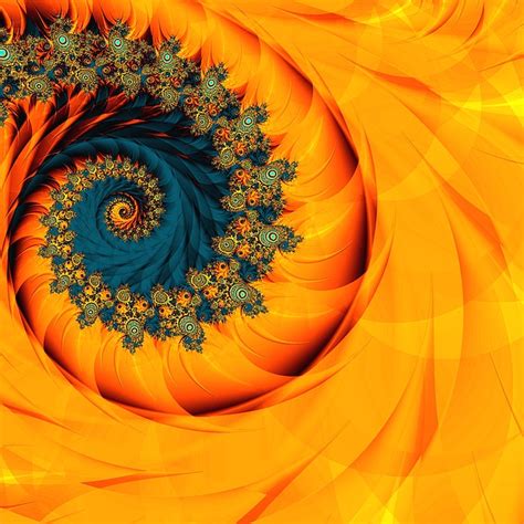 90+ Free Fibonacci & Golden Ratio Images - Pixabay