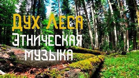 Дух Леса / Этническая Музыка / Флейта Пимак / Варган / Шаманский Бубен ...