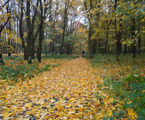 Tak wygląda Park Cytadela w Poznaniu późną jesienią To doskonały