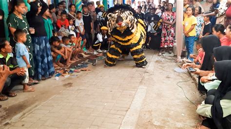 Atraksi Macan Java Nendang Penonton Macan Java Singo Raung Drumband