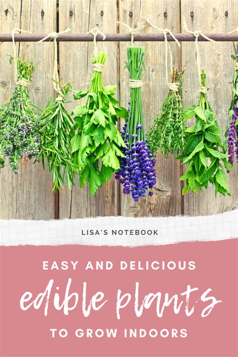 Easy And Delicious Edible Plants To Grow Indoors Artofit